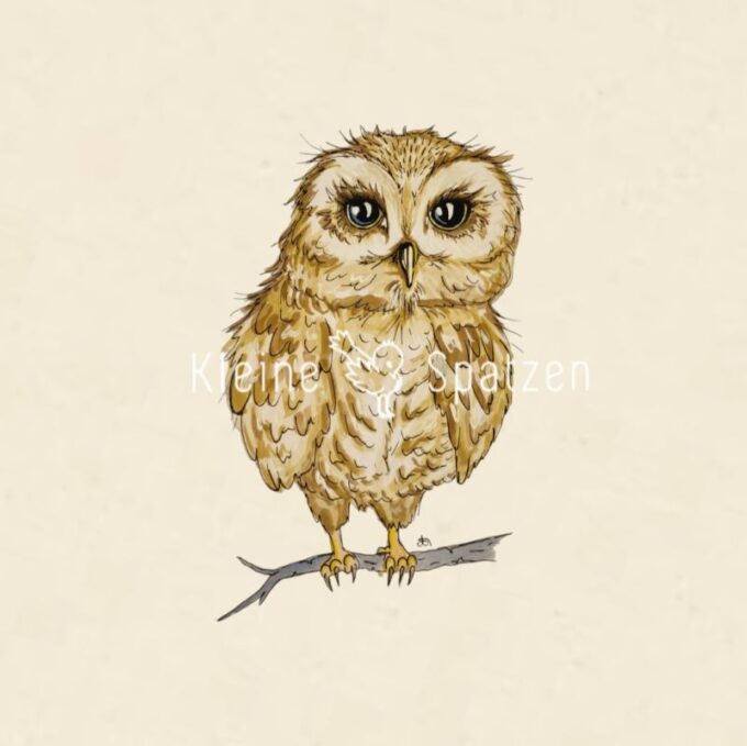 Motiv Eule Murkel