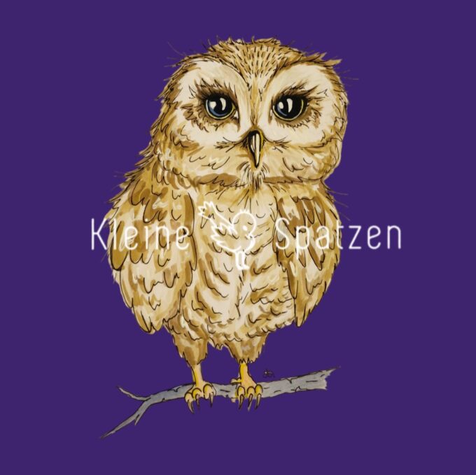 Eule Murkel by Kleine-Spatzen