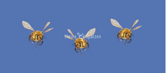 Motiv Bienen by Kleine-Spatzen