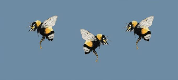 Motiv Hummeln by Kleine-Spatzen