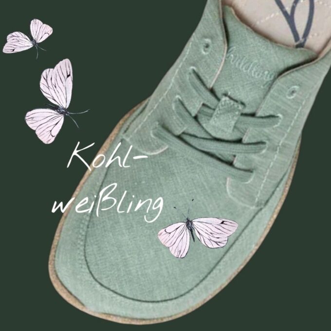 Kohlweißling Produktbeispiel